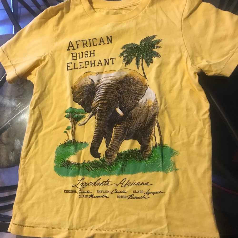 Peek Yellow African Bush Elephant Graphic Tee for Kids NWOT - Picture 1 of 2